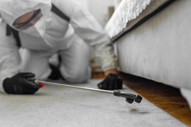 Professional Pest Control technician working in Lyon County County, MN